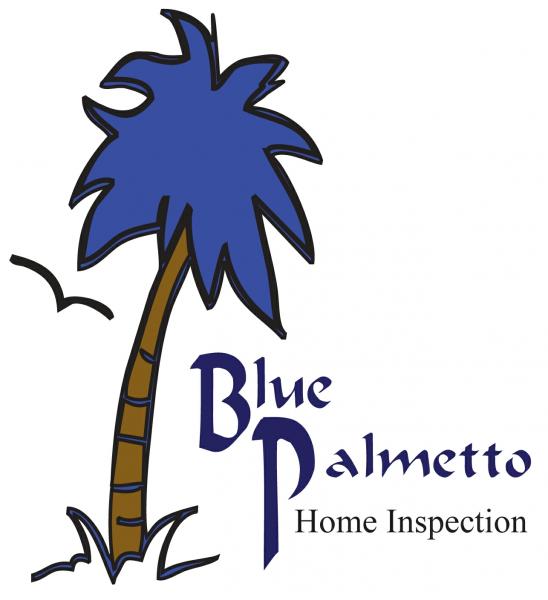 Mobile Home Inspection - Blue Owl Inspections